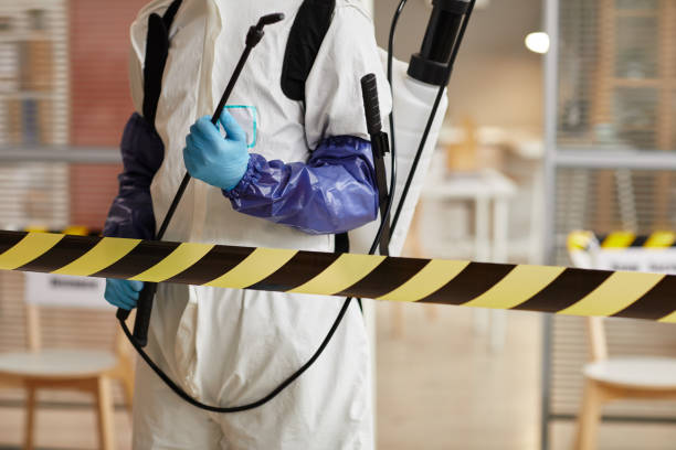 Professional Odor Removal technician working in Hayden, ID